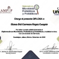 Ampliar imagen: certificate 3
