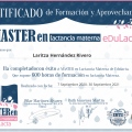 Ampliar imagen: certificate 6