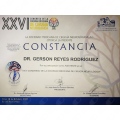 Ampliar imagen: certificate 25