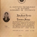 Ampliar imagen: certificate 13