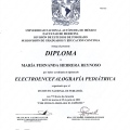 Ampliar imagen: certificate 3