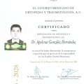 Ampliar imagen: certificate 3