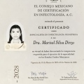 Ampliar imagen: certificate 2