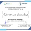 Ampliar imagen: certificate 3
