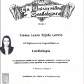 Ampliar imagen: certificate 3