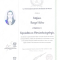 Ampliar imagen: certificate 2