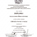 Ampliar imagen: certificate 5