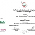 Ampliar imagen: certificate 3