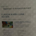 Ampliar imagen: certificate 18