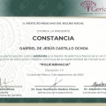Ampliar imagen: certificate 37