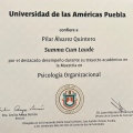 Ampliar imagen: certificate 6
