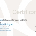 Ampliar imagen: certificate 8