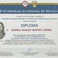 Ampliar imagen: certificate 5