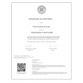Ampliar imagen: certificate 3