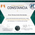Ampliar imagen: certificate 8