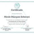 Ampliar imagen: certificate 4