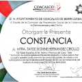 Ampliar imagen: certificate 21