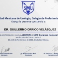 Ampliar imagen: certificate 13