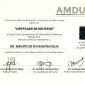 Ampliar imagen: certificate 5