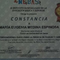 Ampliar imagen: certificate 5