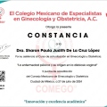 Ampliar imagen: certificate 4