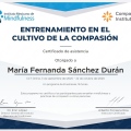 Ampliar imagen: certificate 4