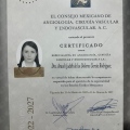 Ampliar imagen: certificate 5