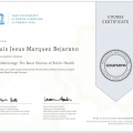 Ampliar imagen: certificate 4