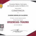 Ampliar imagen: certificate 11