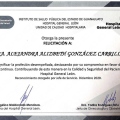 Ampliar imagen: certificate 12