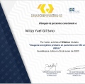 Ampliar imagen: certificate 3