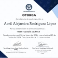 Ampliar imagen: certificate 2