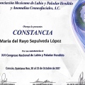 Ampliar imagen: certificate 8