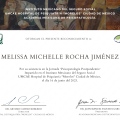 Ampliar imagen: certificate 6