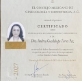 Ampliar imagen: certificate 1