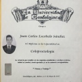Ampliar imagen: certificate 7