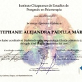 Ampliar imagen: certificate 2