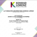 Ampliar imagen: certificate 7