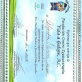 Ampliar imagen: certificate 4