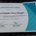 Ampliar imagen: certificate 4