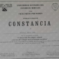 Ampliar imagen: certificate 8