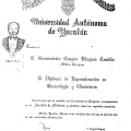 Ampliar imagen: certificate 8