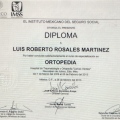 Ampliar imagen: certificate 5