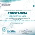Ampliar imagen: certificate 2