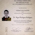 Ampliar imagen: certificate 4