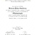 Ampliar imagen: certificate 3