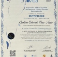 Ampliar imagen: certificate 6