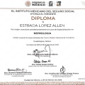 Ampliar imagen: certificate 2