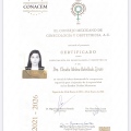 Ampliar imagen: certificate 1