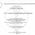 Ampliar imagen: certificate 11